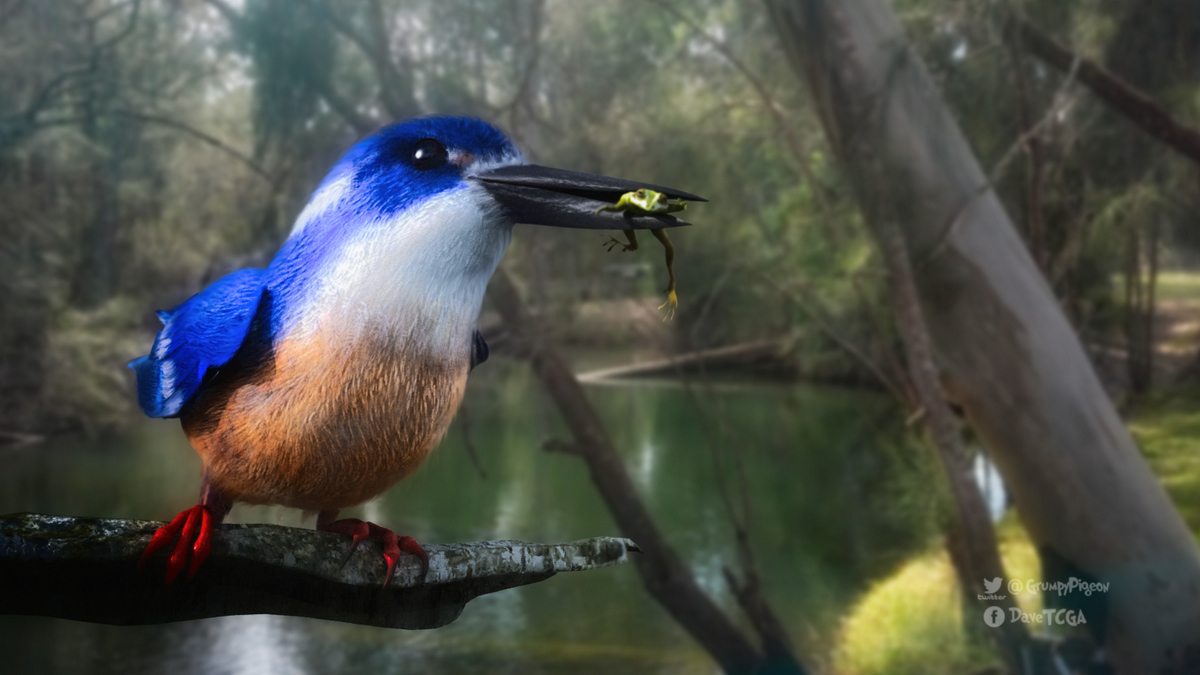 Azure Kingfisher By Stezza