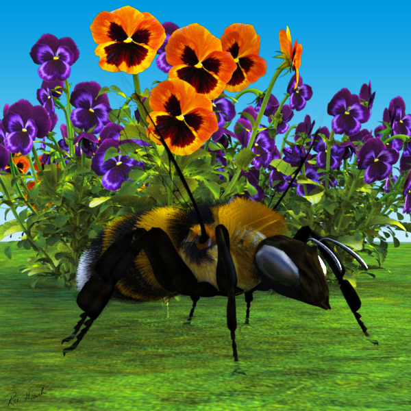 Bee & Pansies