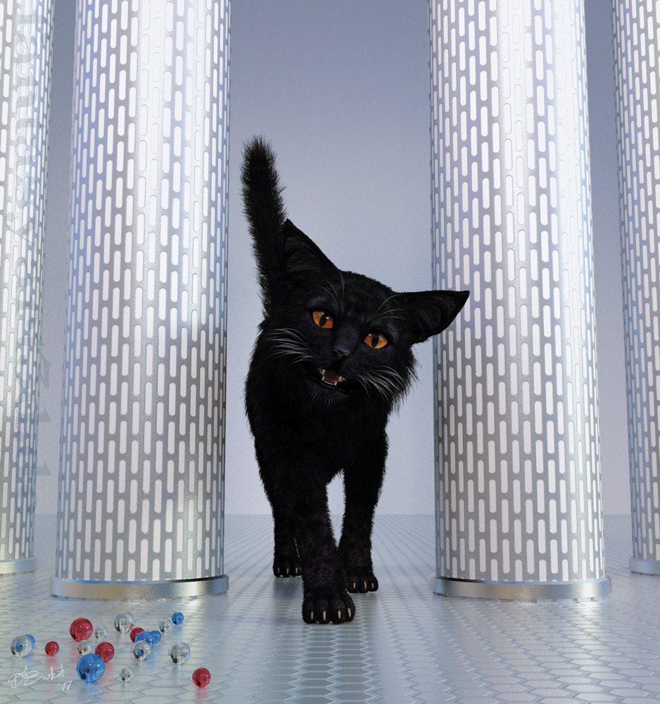 Black cat