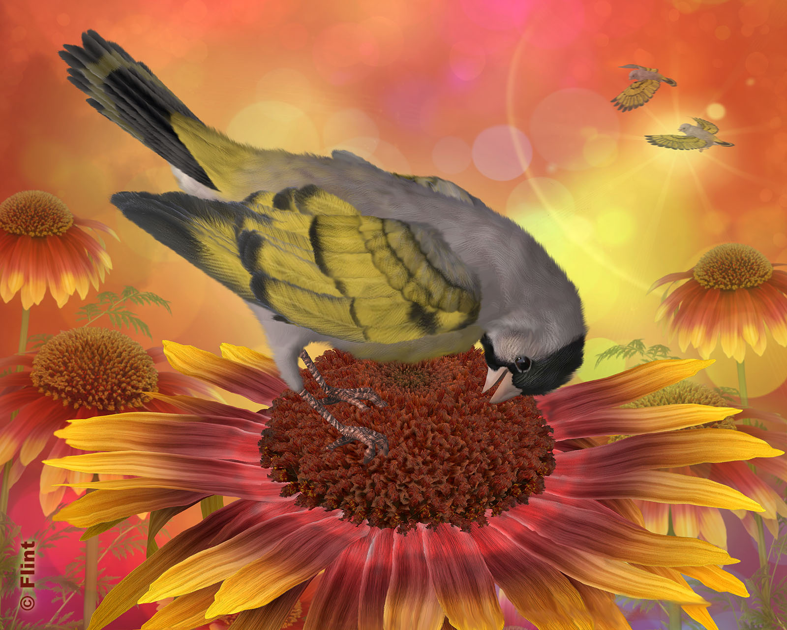 Bountiful Harvest.jpg