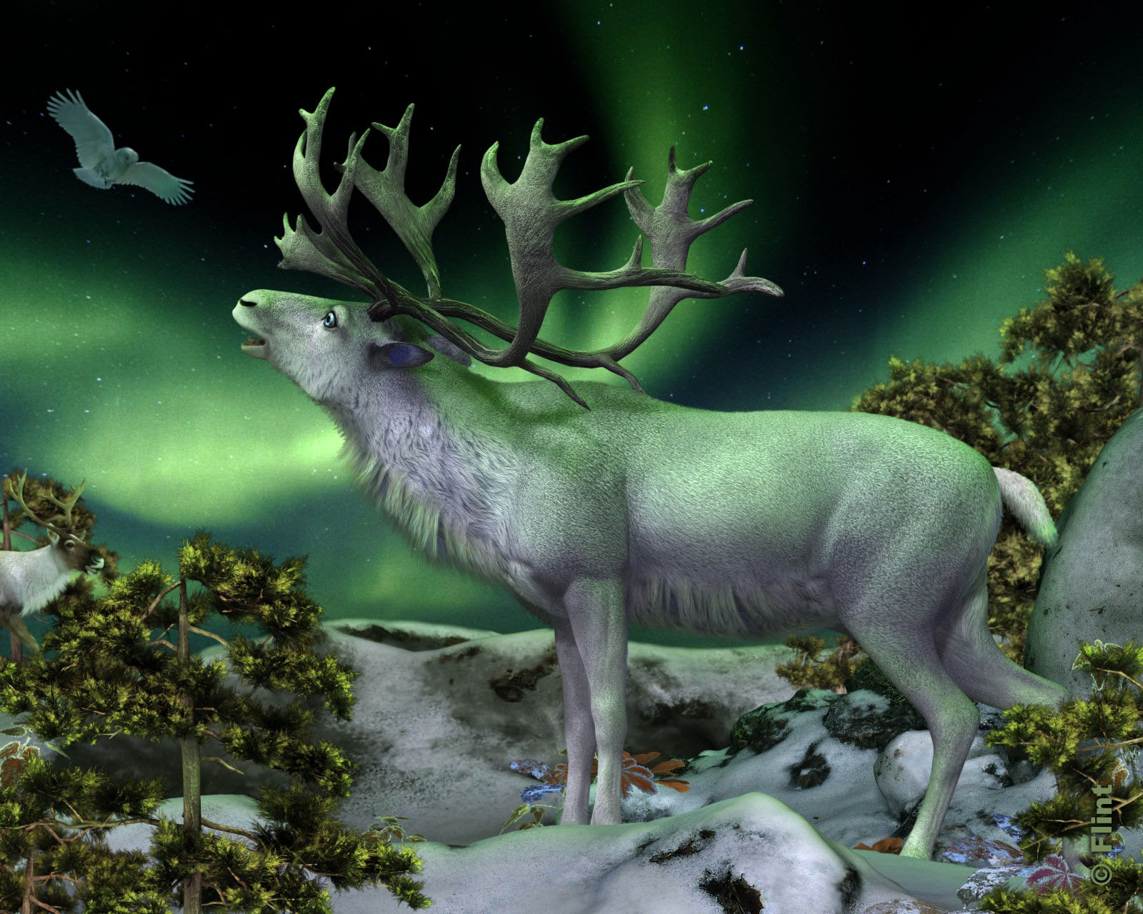 Call of the Caribou.jpg