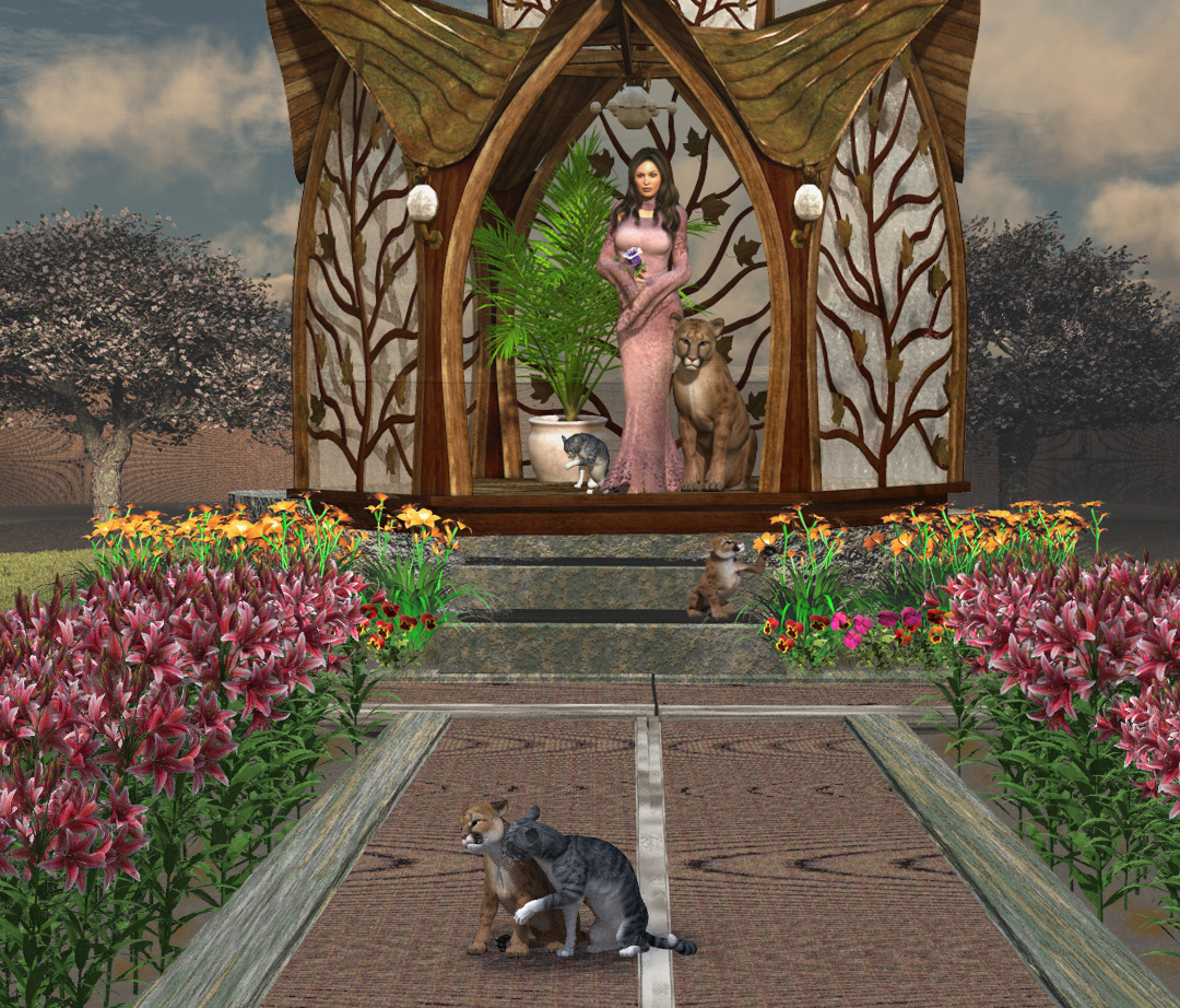 Cat's Garden by cinadisilver