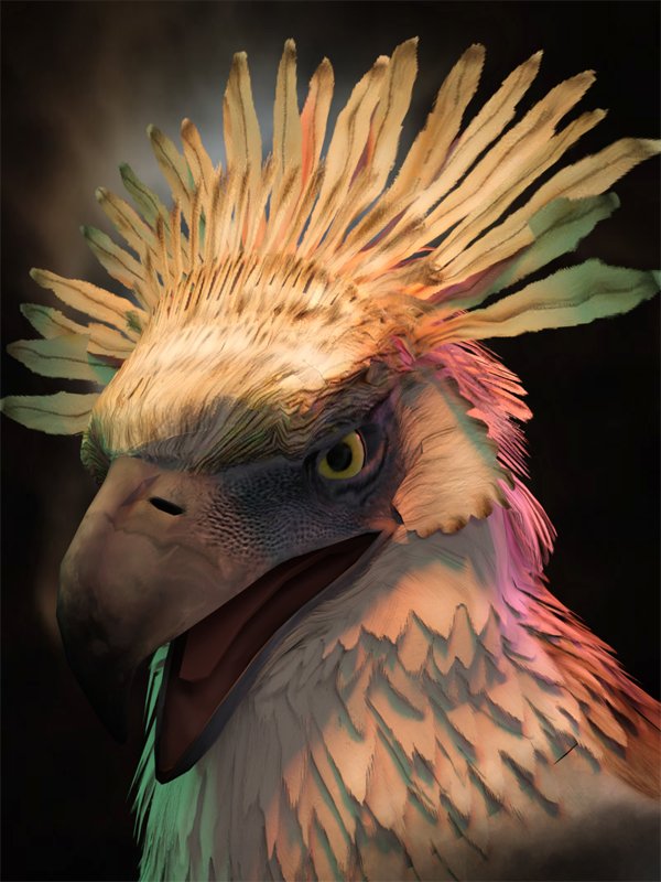 Don't Get Your Feathers In An Uproar By Luannemarie