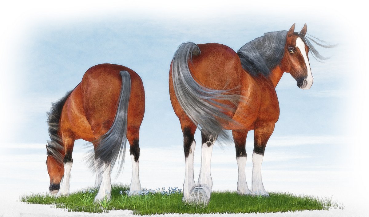 Draft Horses By Tparo