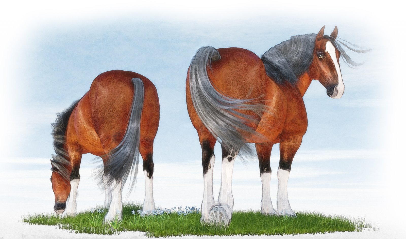Draft-Horses