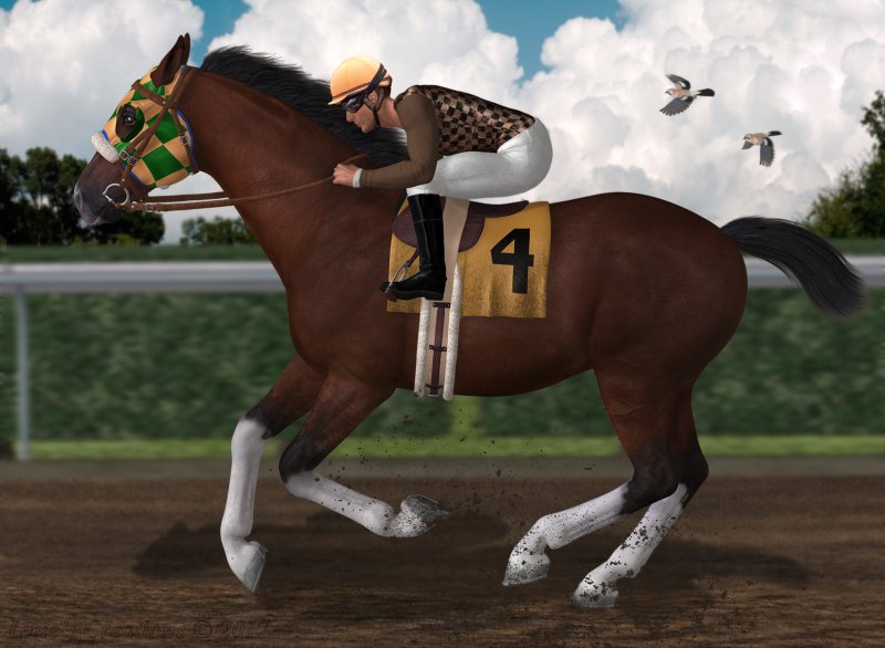 Dress Rehearsal By Lyne