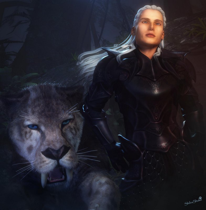 Dusk In The Forest By Shiba Shake