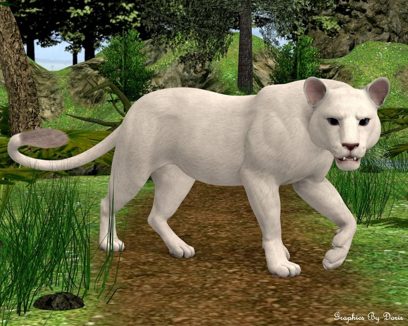 Endangered White Lioness By Fluffykatt