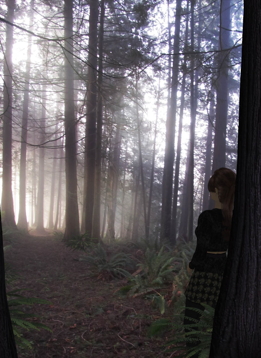Enlightening Silence Of Forest