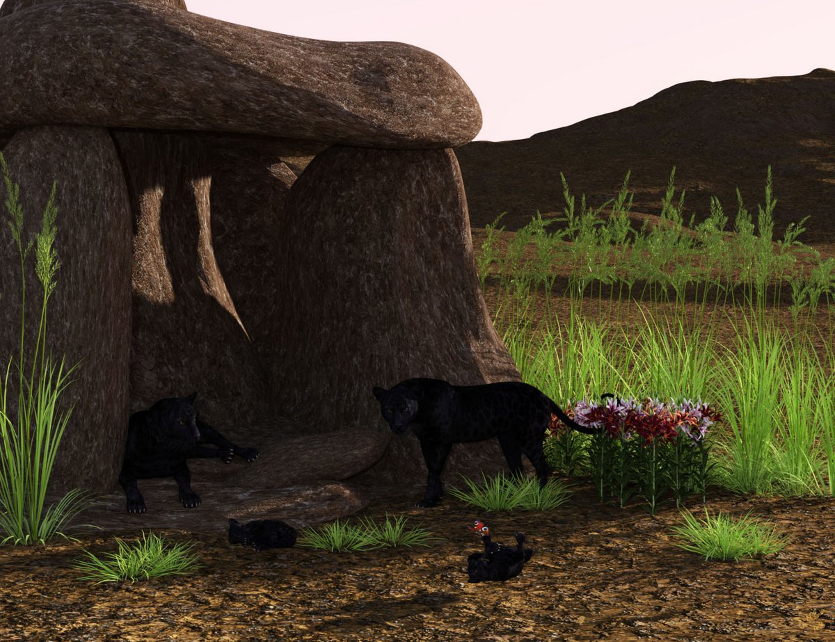 Feline Family By Carola O