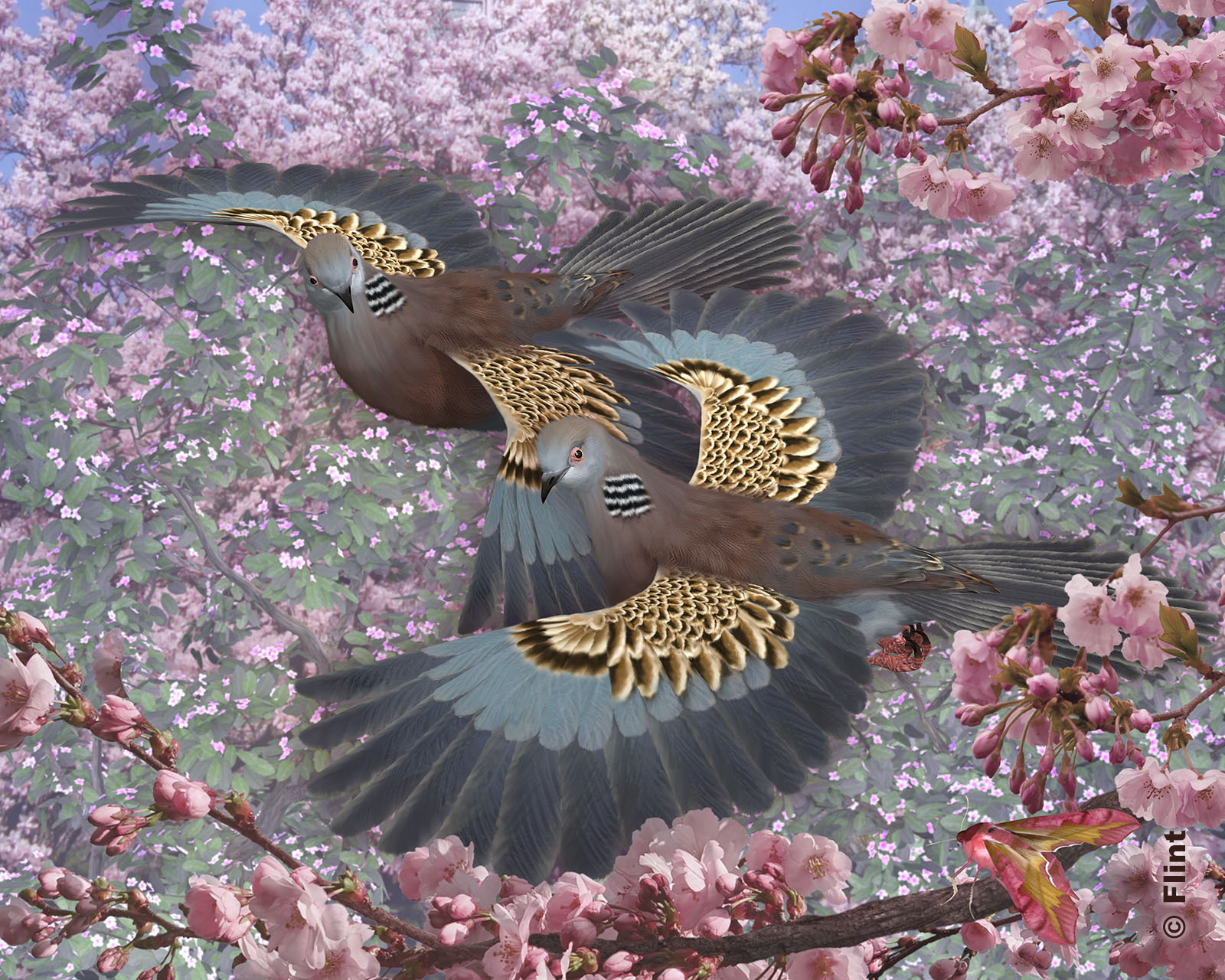 Flight of the Turtle-doves.jpg