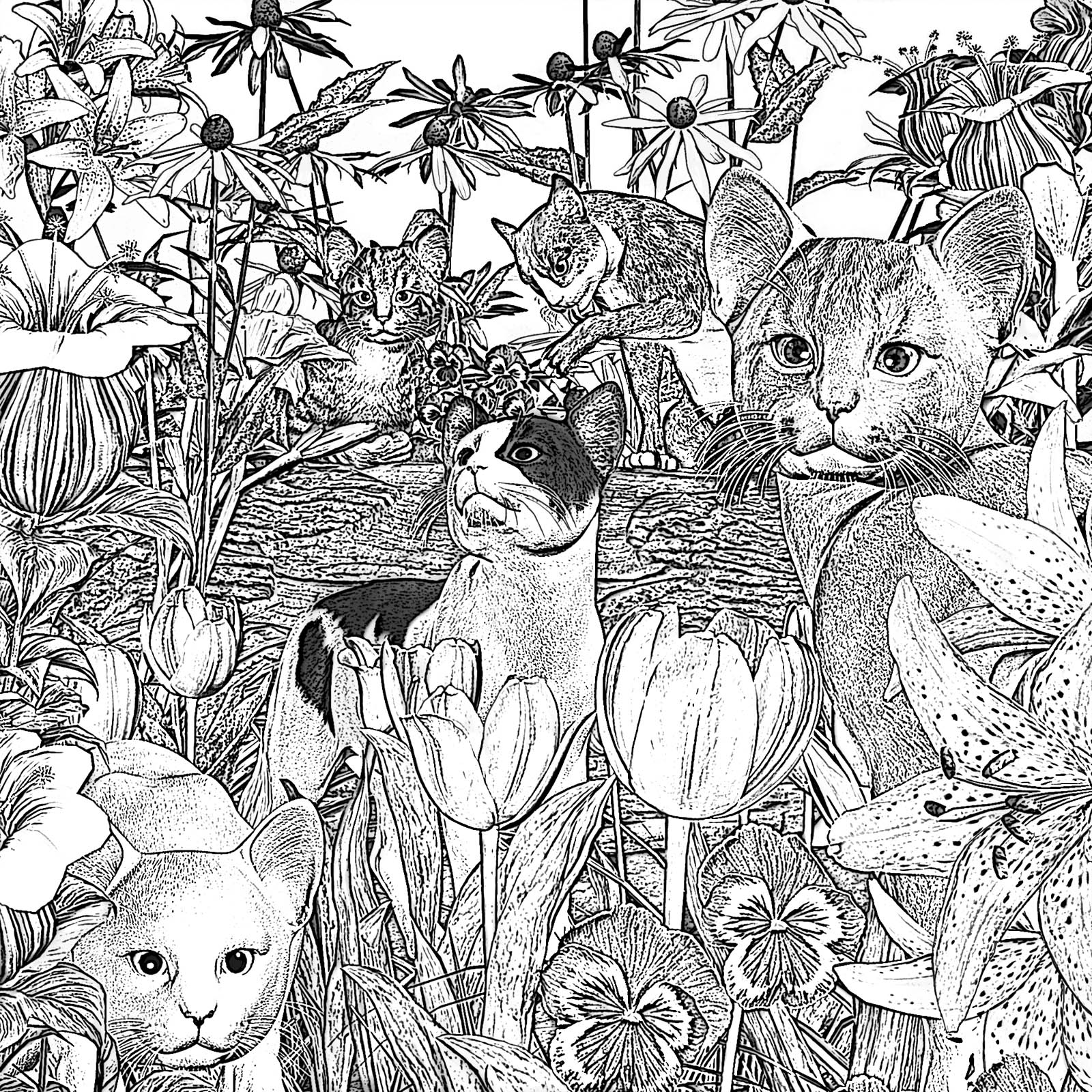 Flower Cats by Wildlyfe
