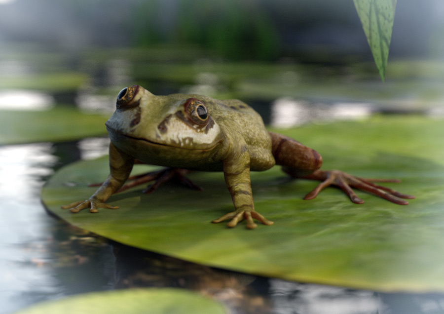 Frog-2