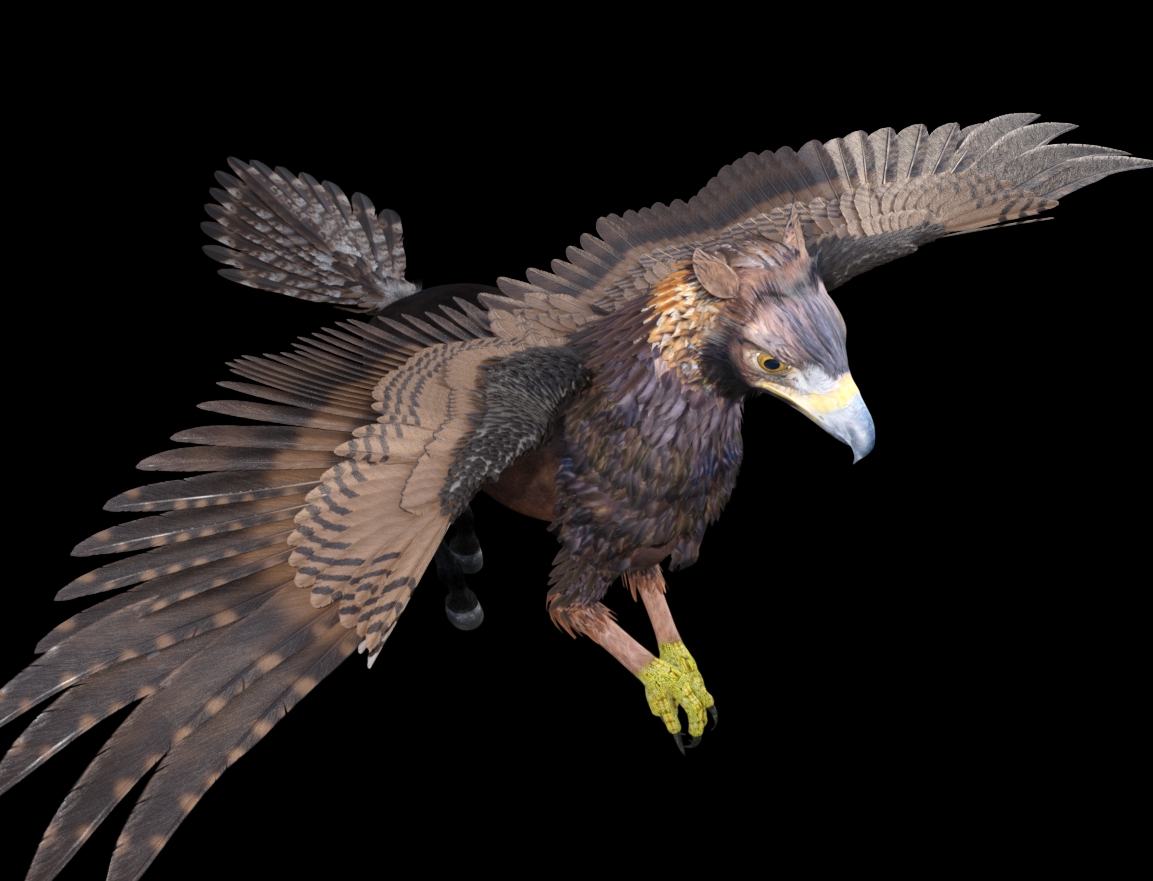 Golden Eagle.jpg