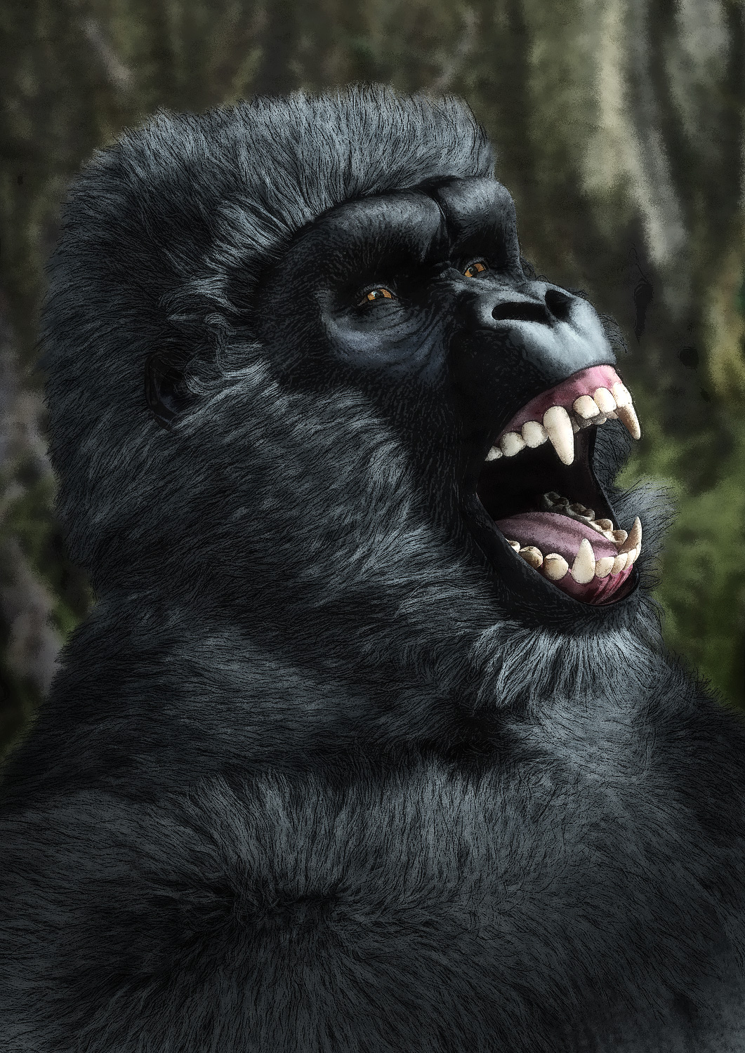 Gorilla