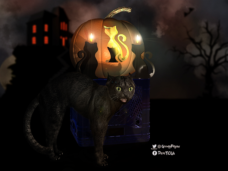 Halloween Cat