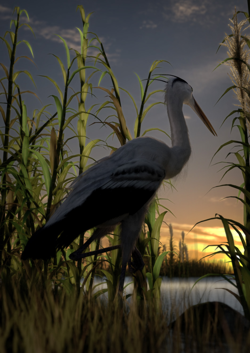 Heron-at-Sunset