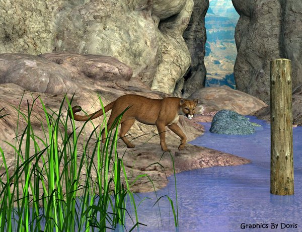 Hidden Canyon By Fluffykatt