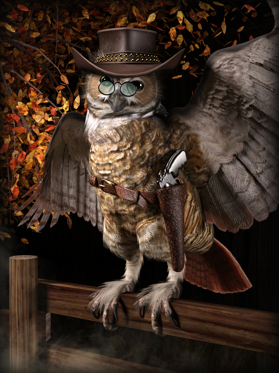 Hooty Pardner By Luannemarie