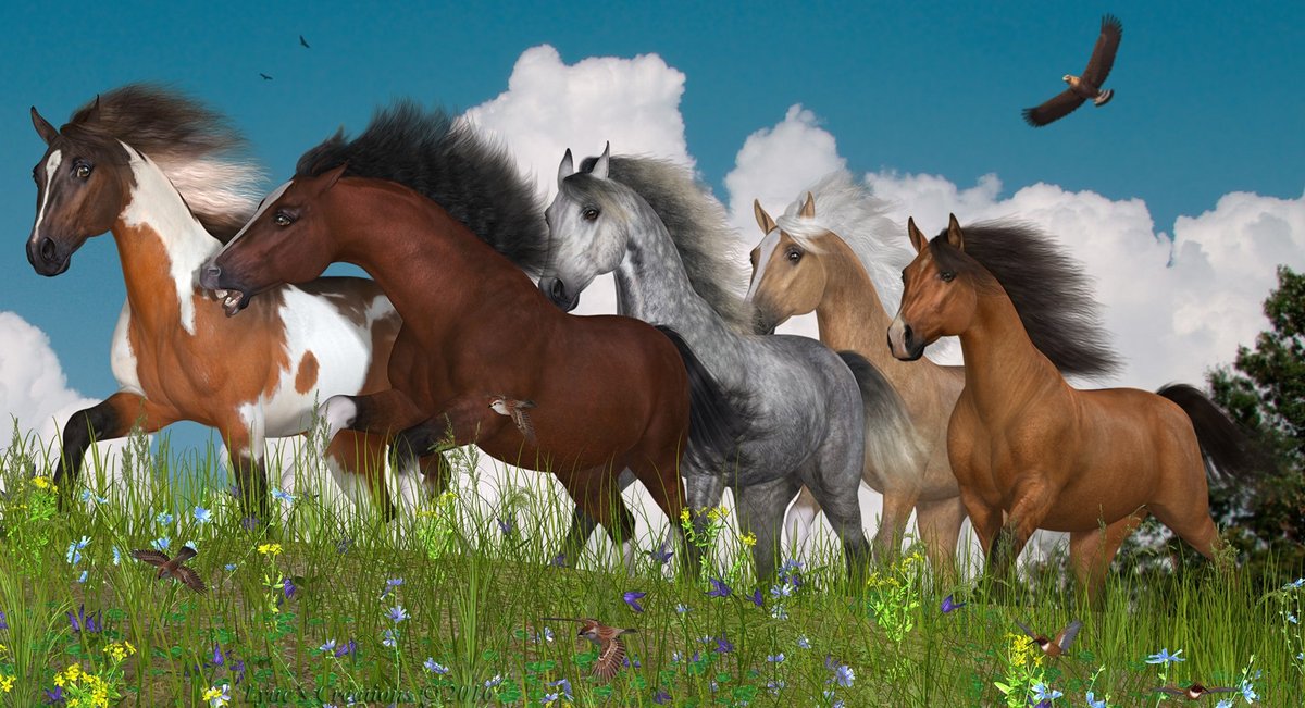 Horses Of The Heartland By Lyne