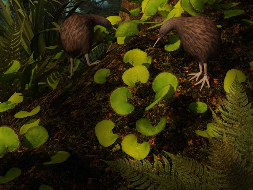 In Hidden Forests