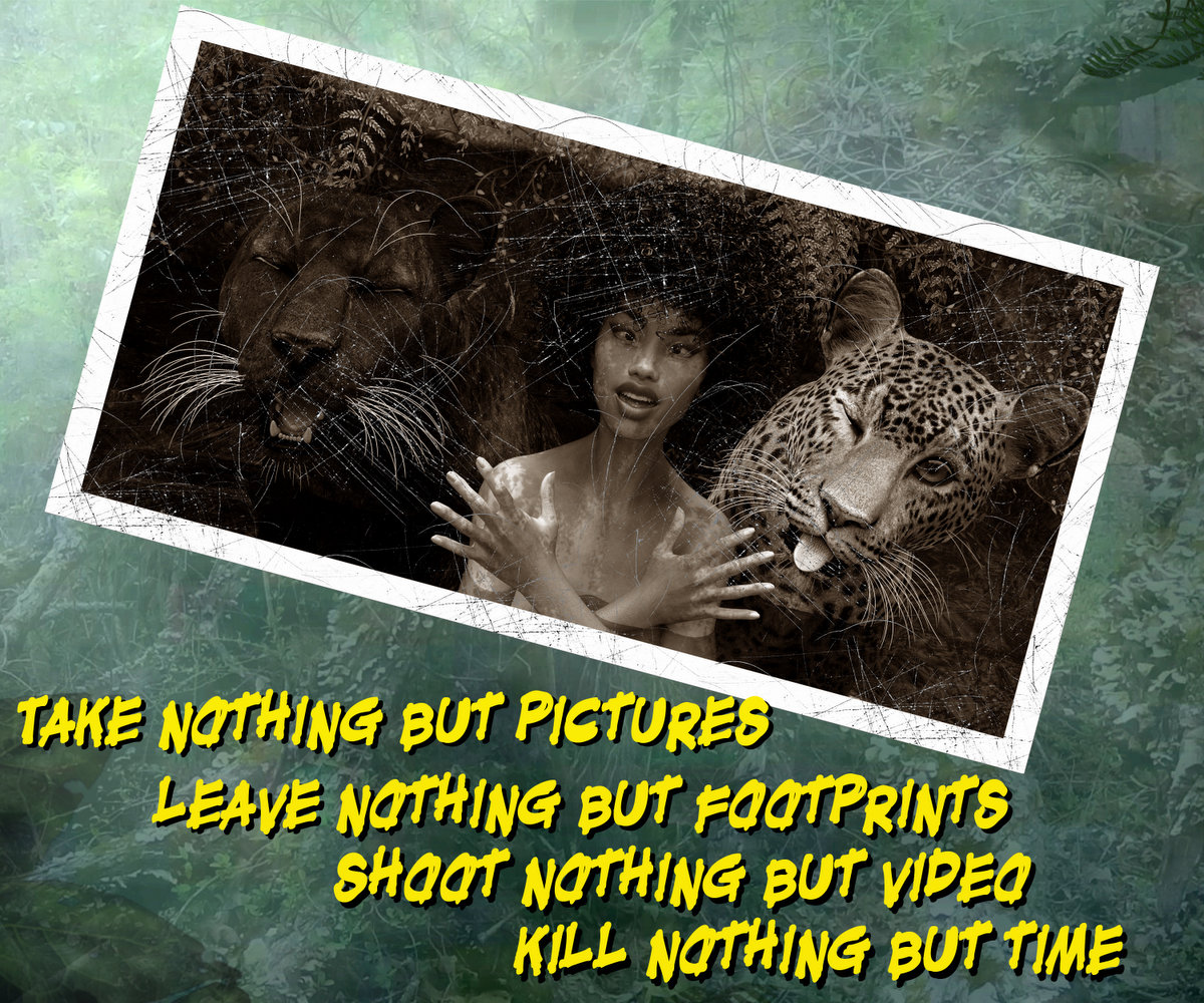 Jungle Kittehs, Part 4: Jungle Love By Banditcameraman