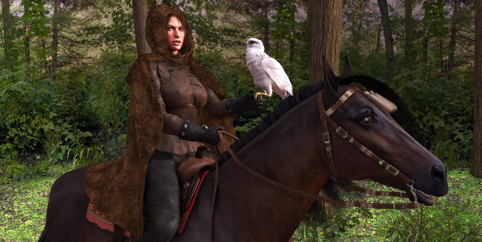 LadyHawk 01
