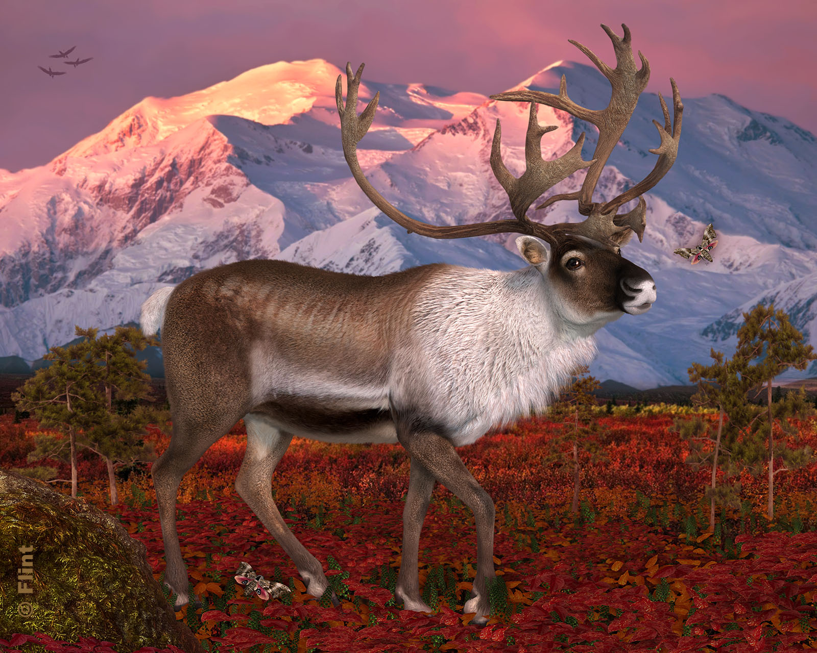 Land of the Caribou.jpg