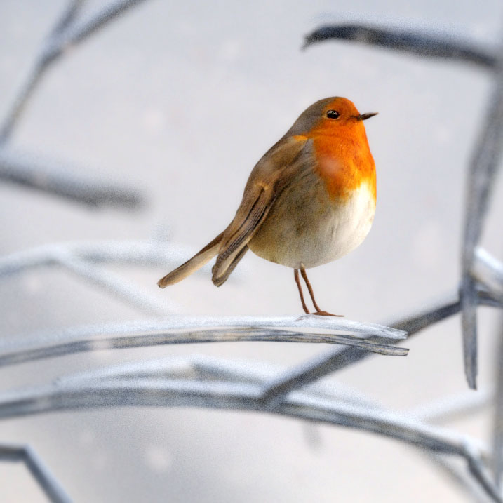 Lil'Robin RedBreast