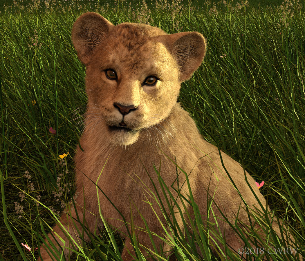 Lion Cub