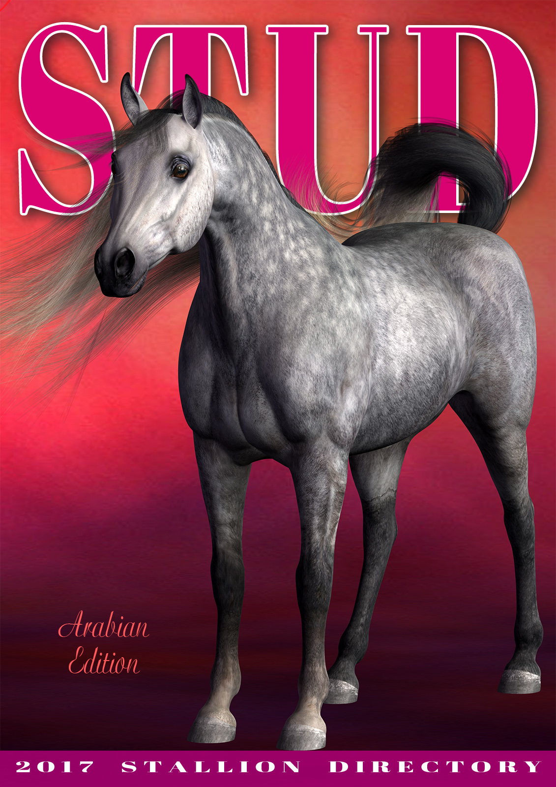Magazine Cover - Stallion Directory - Arabian Edition