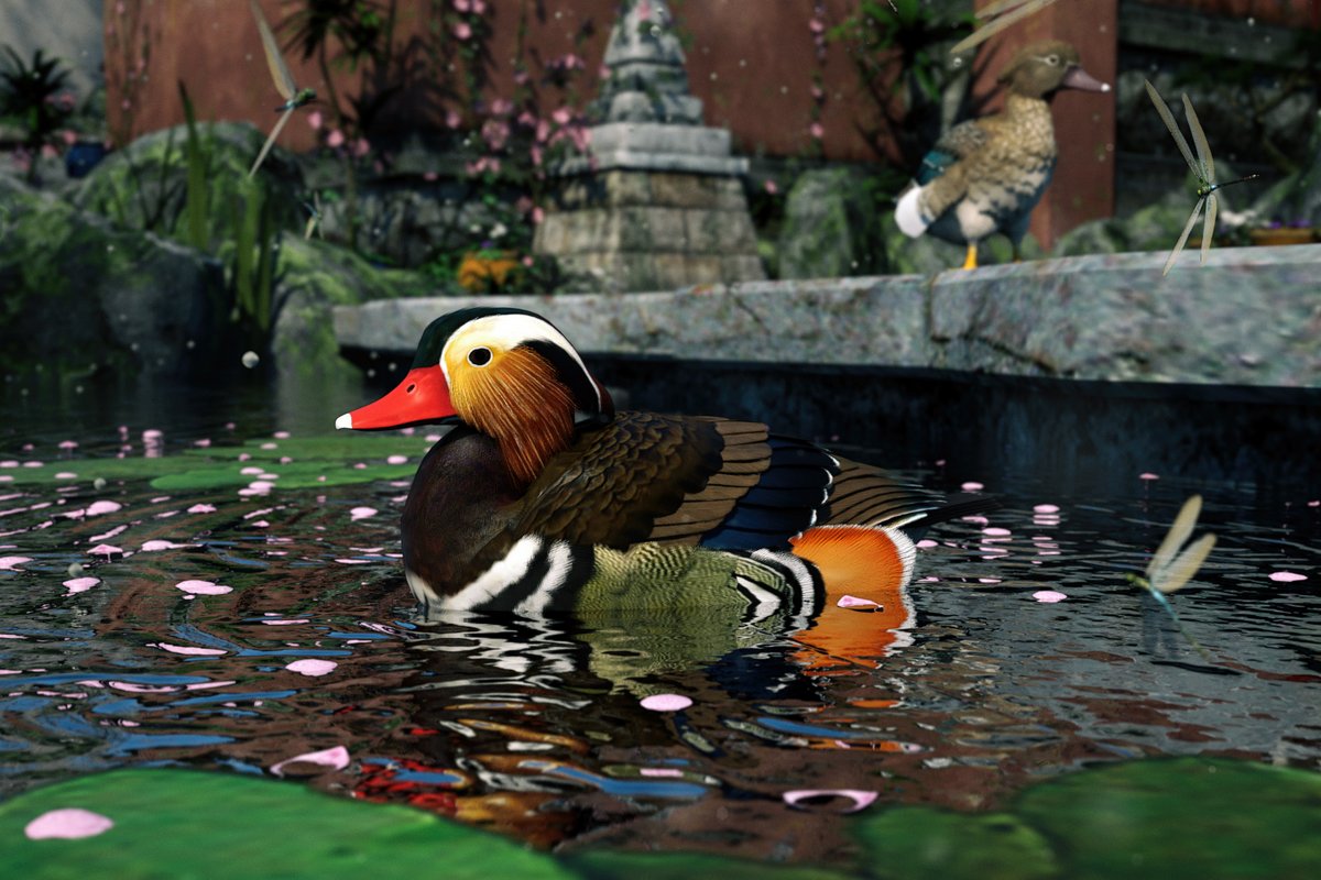 Mandarin Duck By Atticus Bones