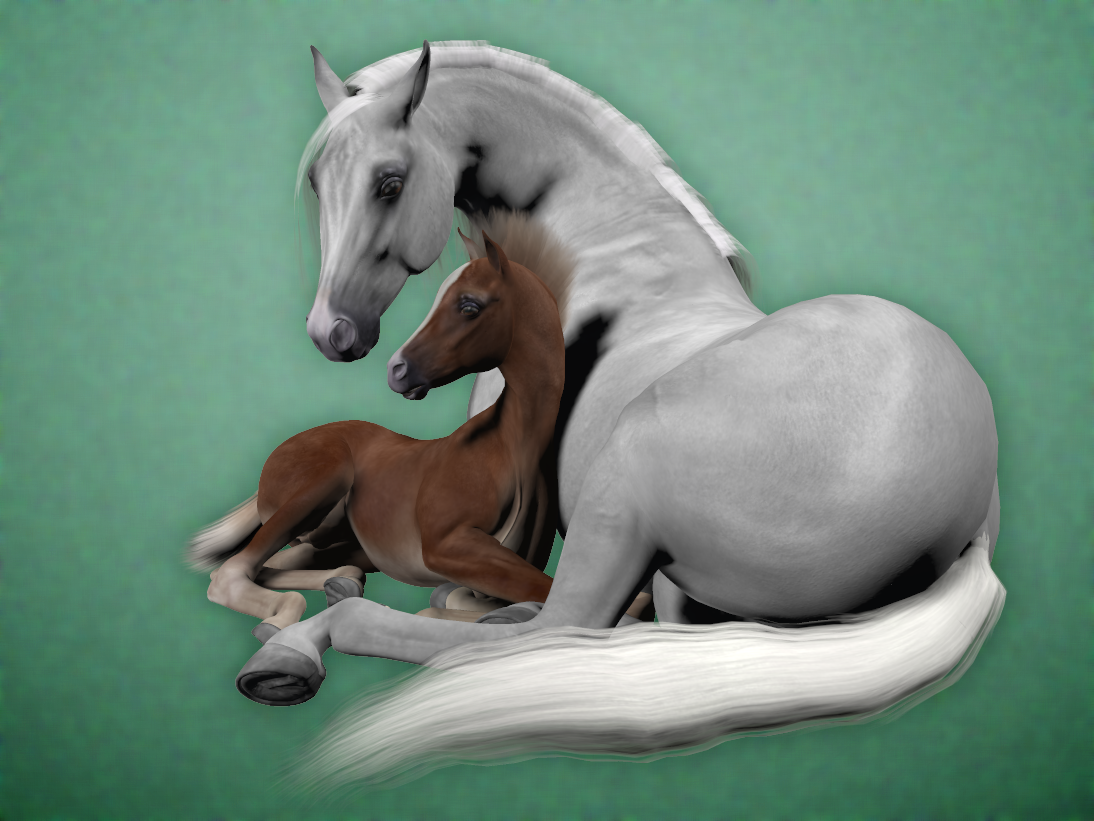 Mare and Foal