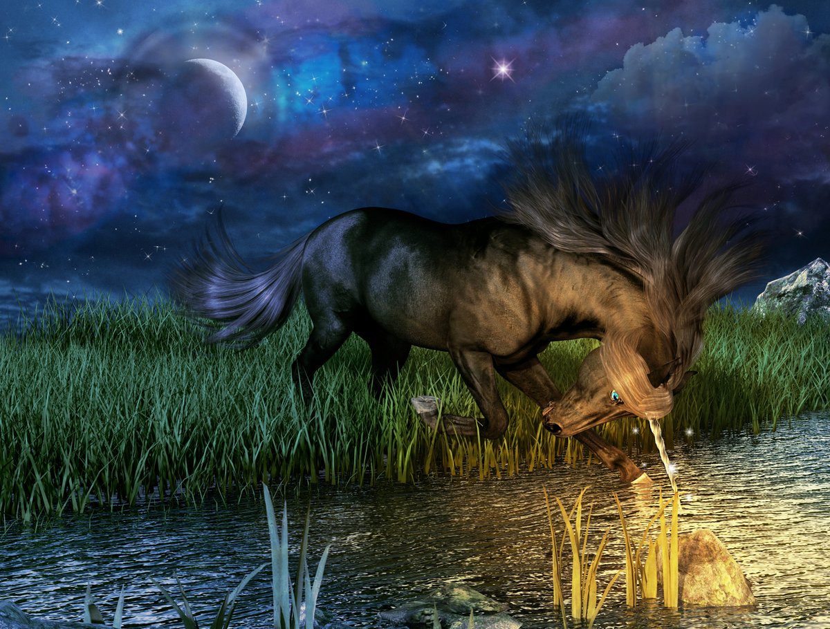 Midnight River Unicorn By Talihawk