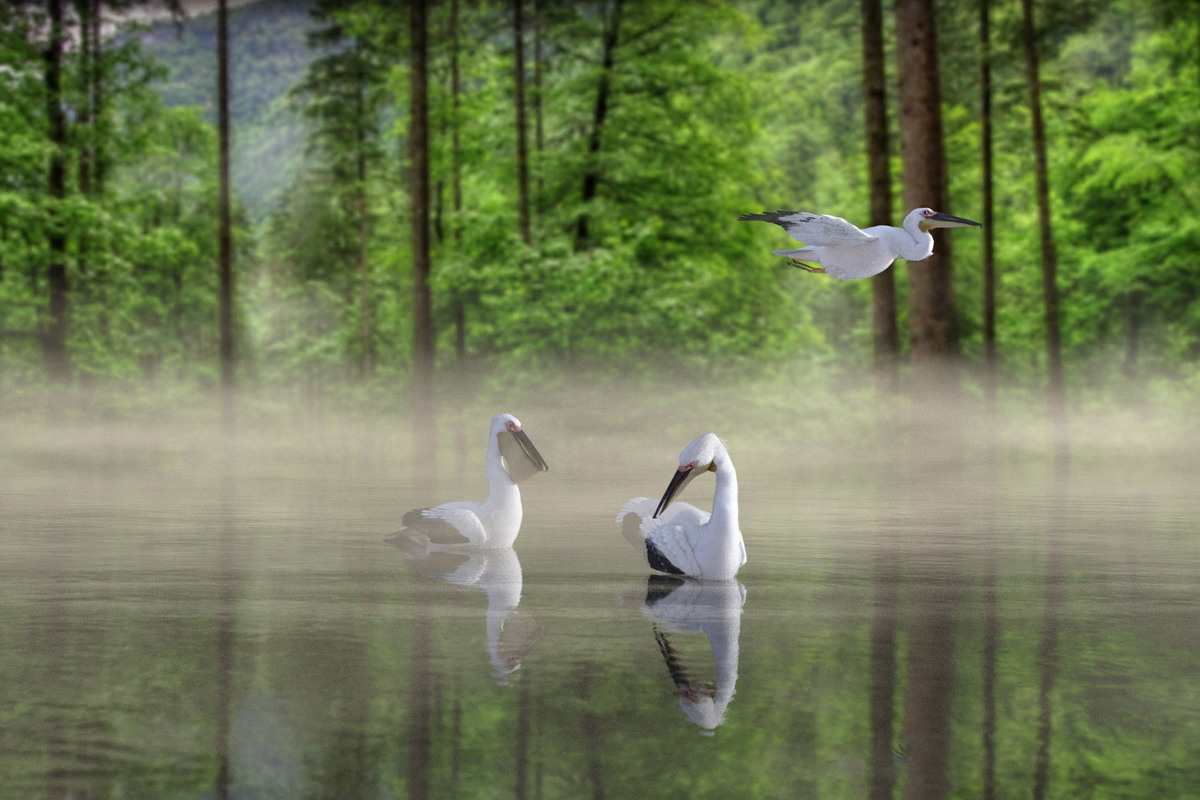 Misty Morning Lake by My 3D Spin.jpg