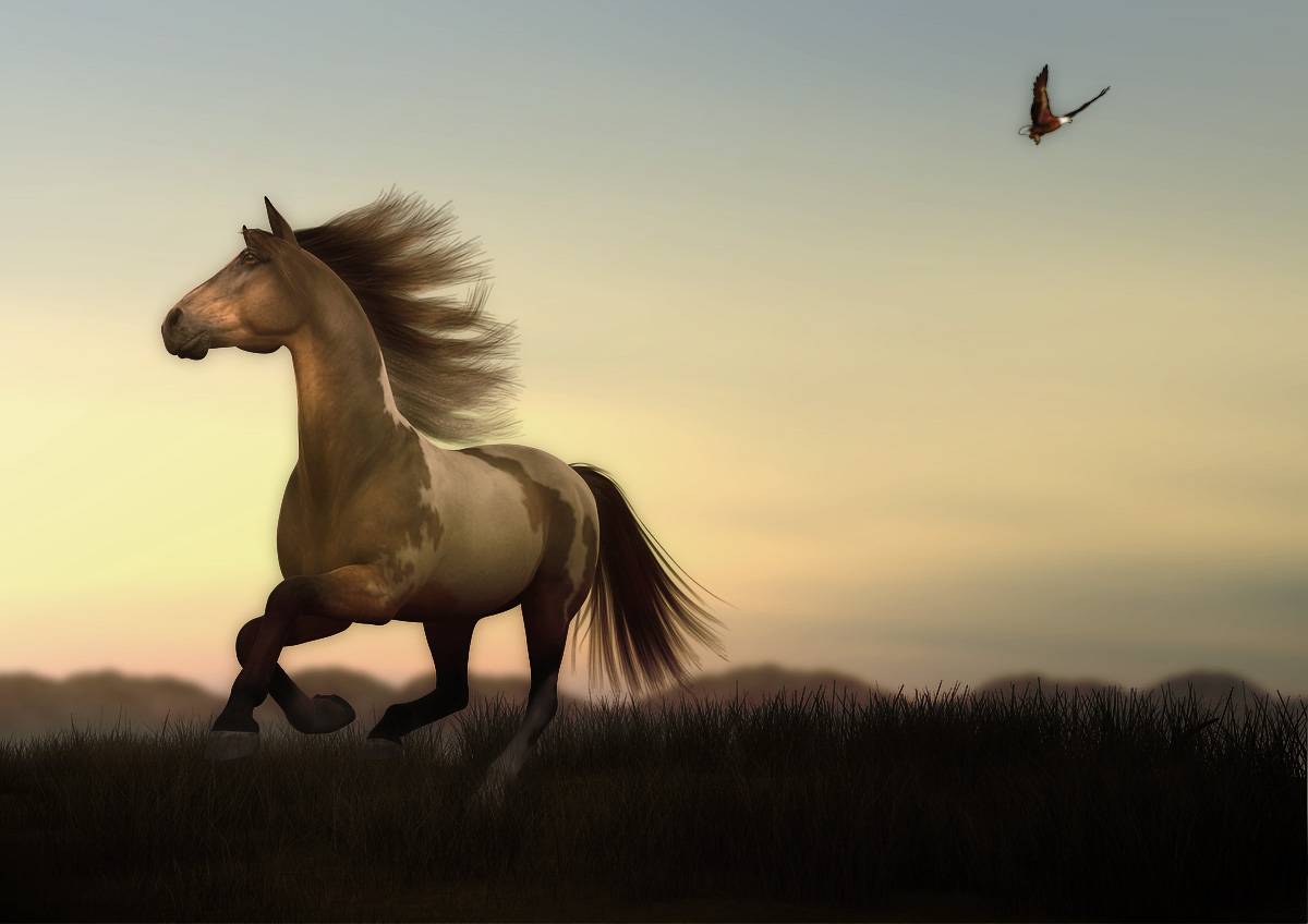 Mustang