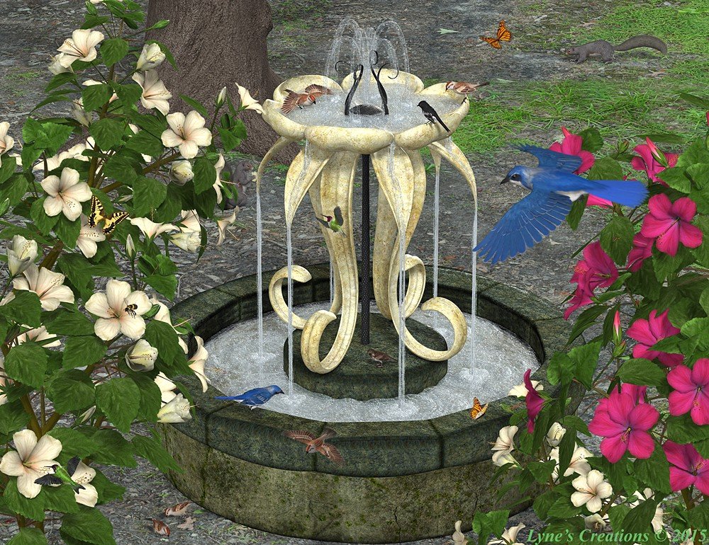 My Mother's Garden By Lyne