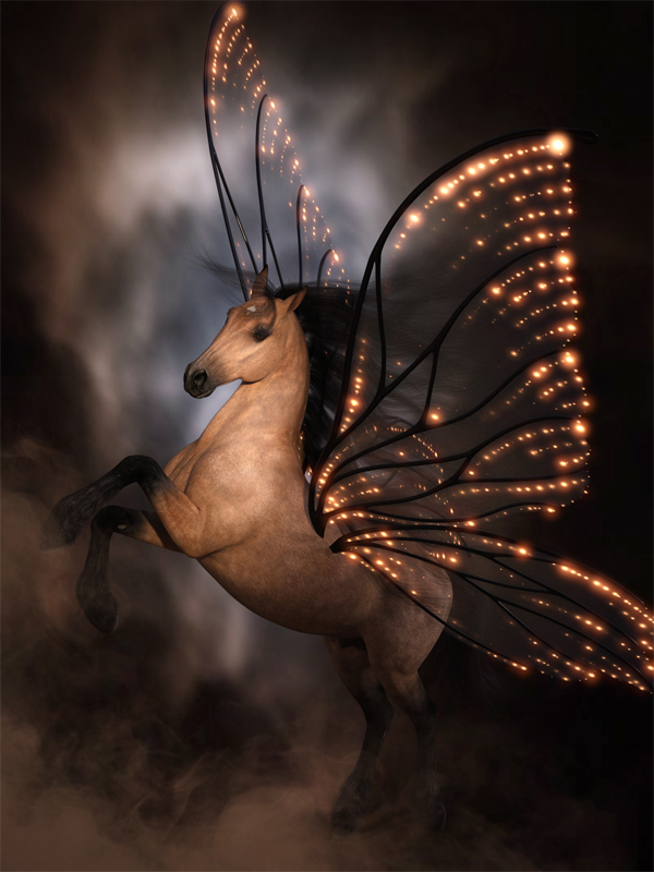 Night Flight