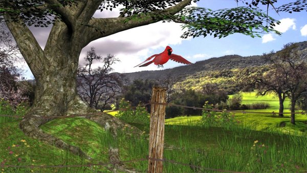 Ohio State Bird By SndCastie