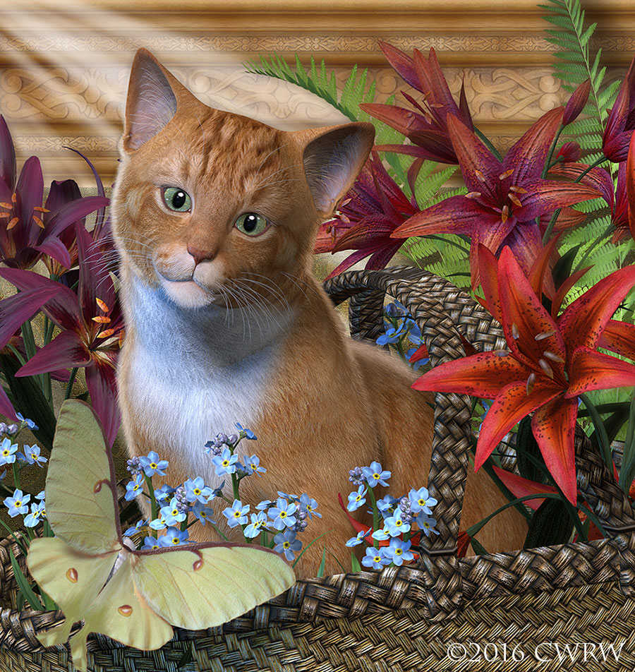 Orange Tabby in a Basket