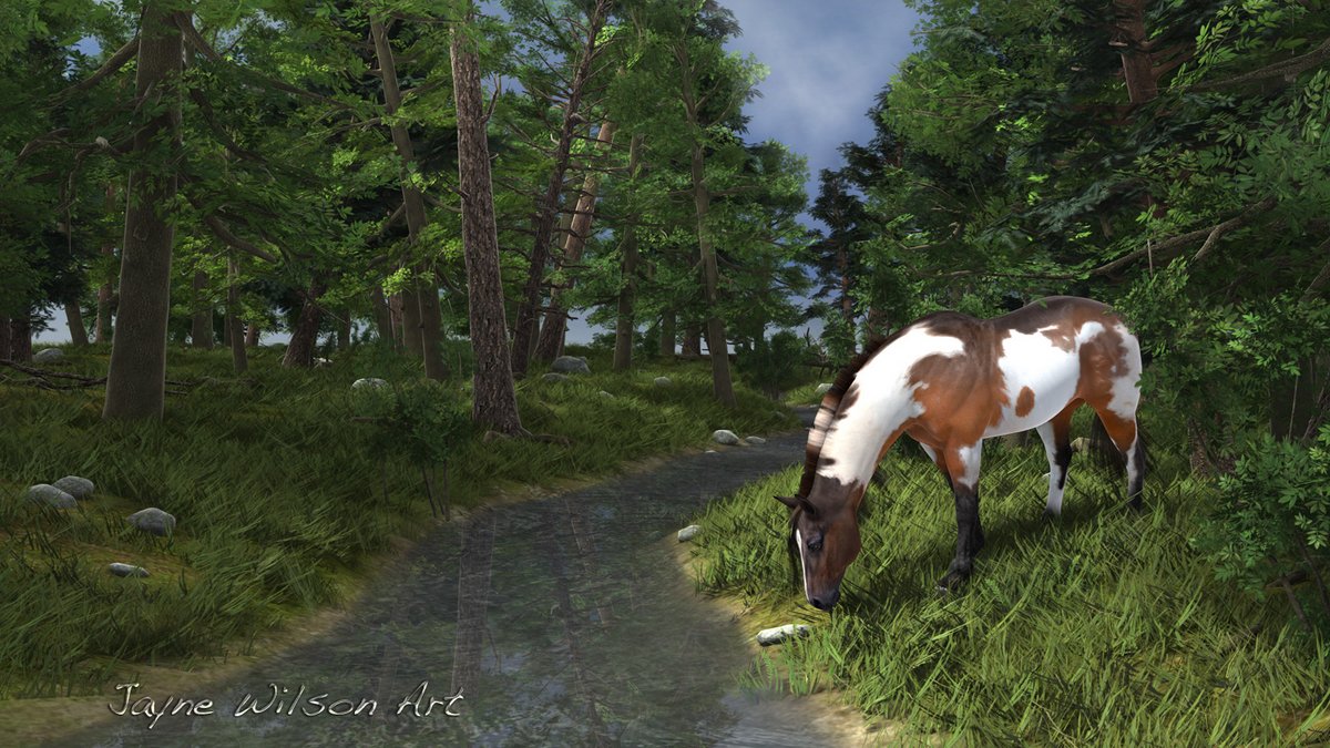 Paint Horse By The Forest Stream By Jayne Wilson