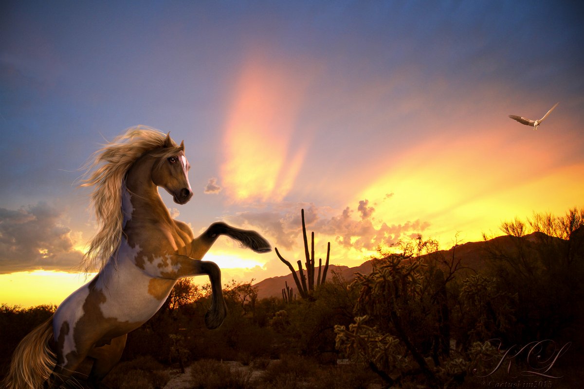 Painted Desert By Cactuskim