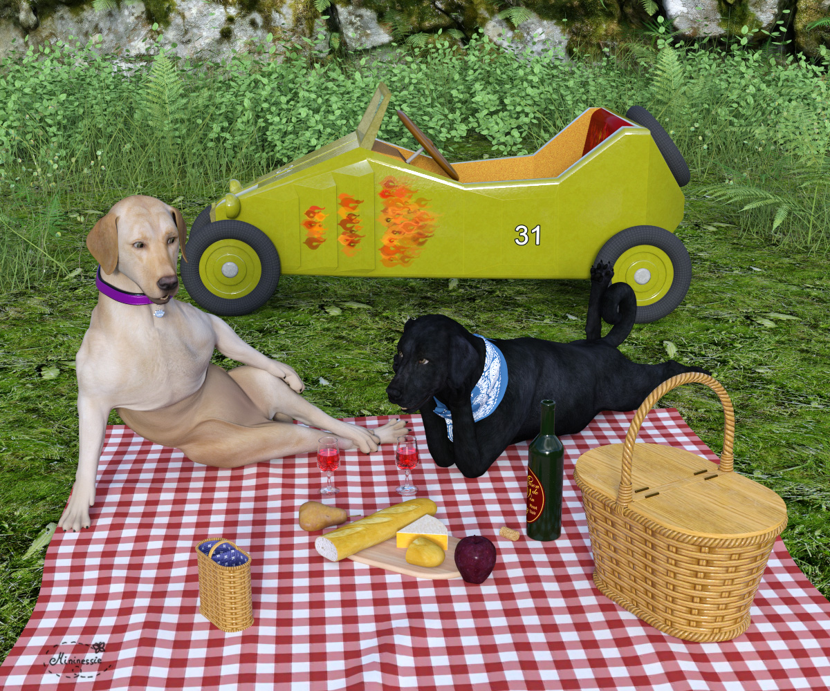 Picnic Love