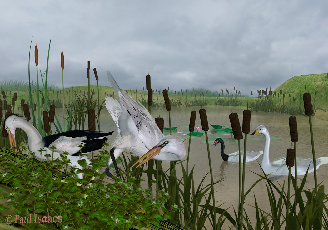 Pond Scene By Piiax