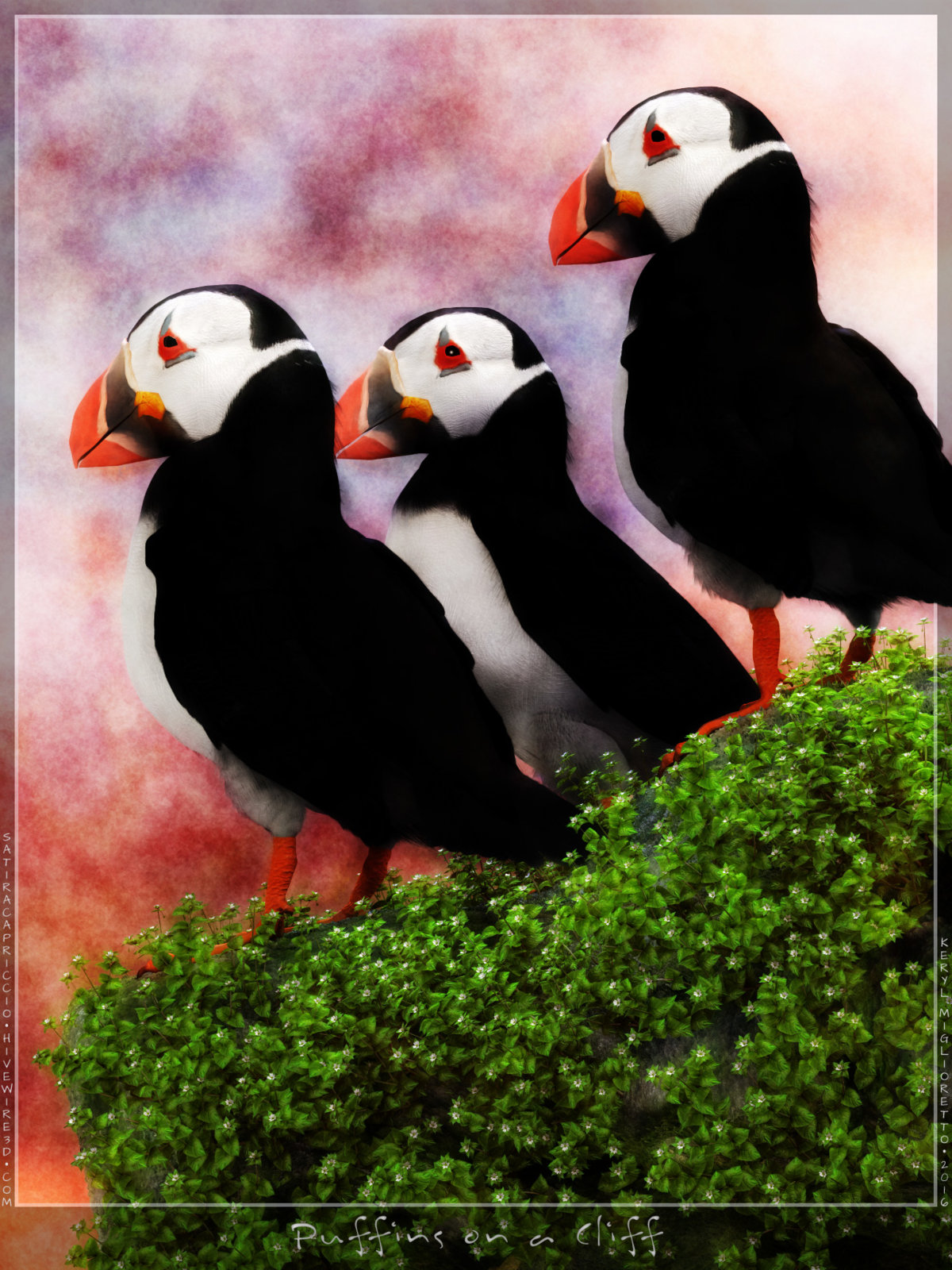 Puffins on a Cliff