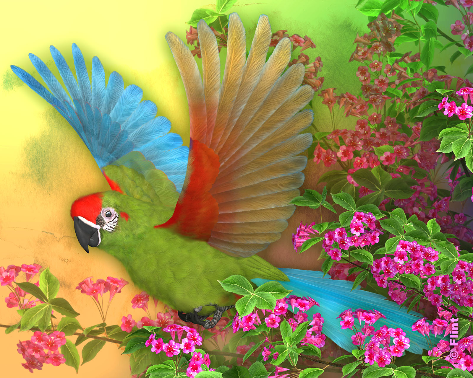 Rainbow of Feathers.jpg