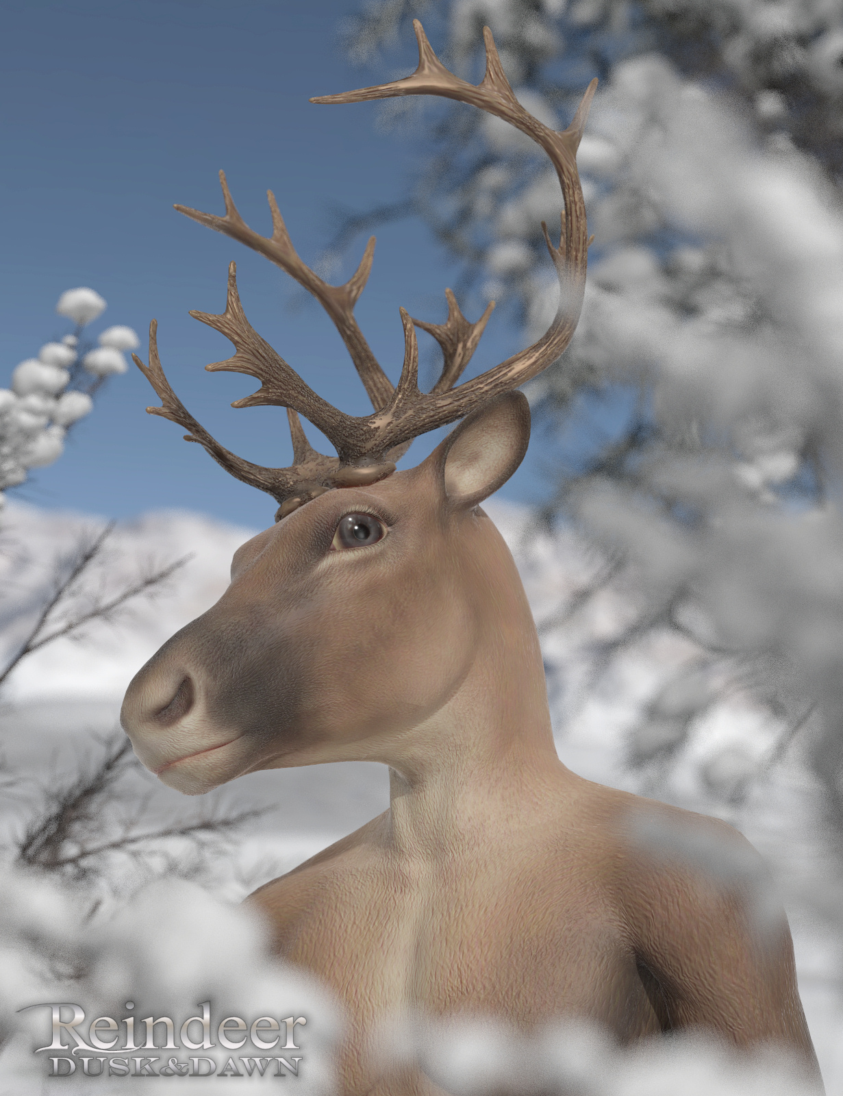 Reindeer 01