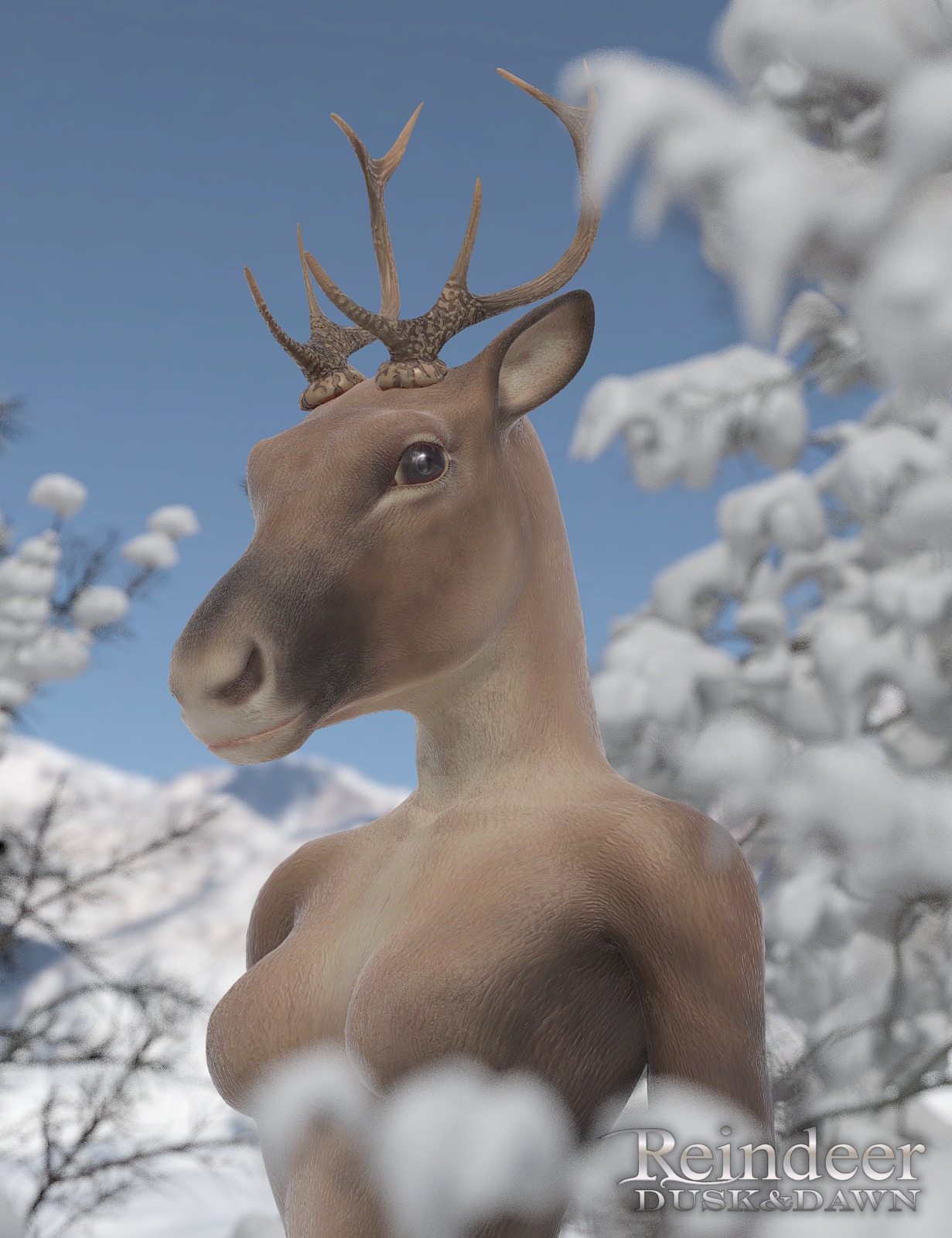 Reindeer 02