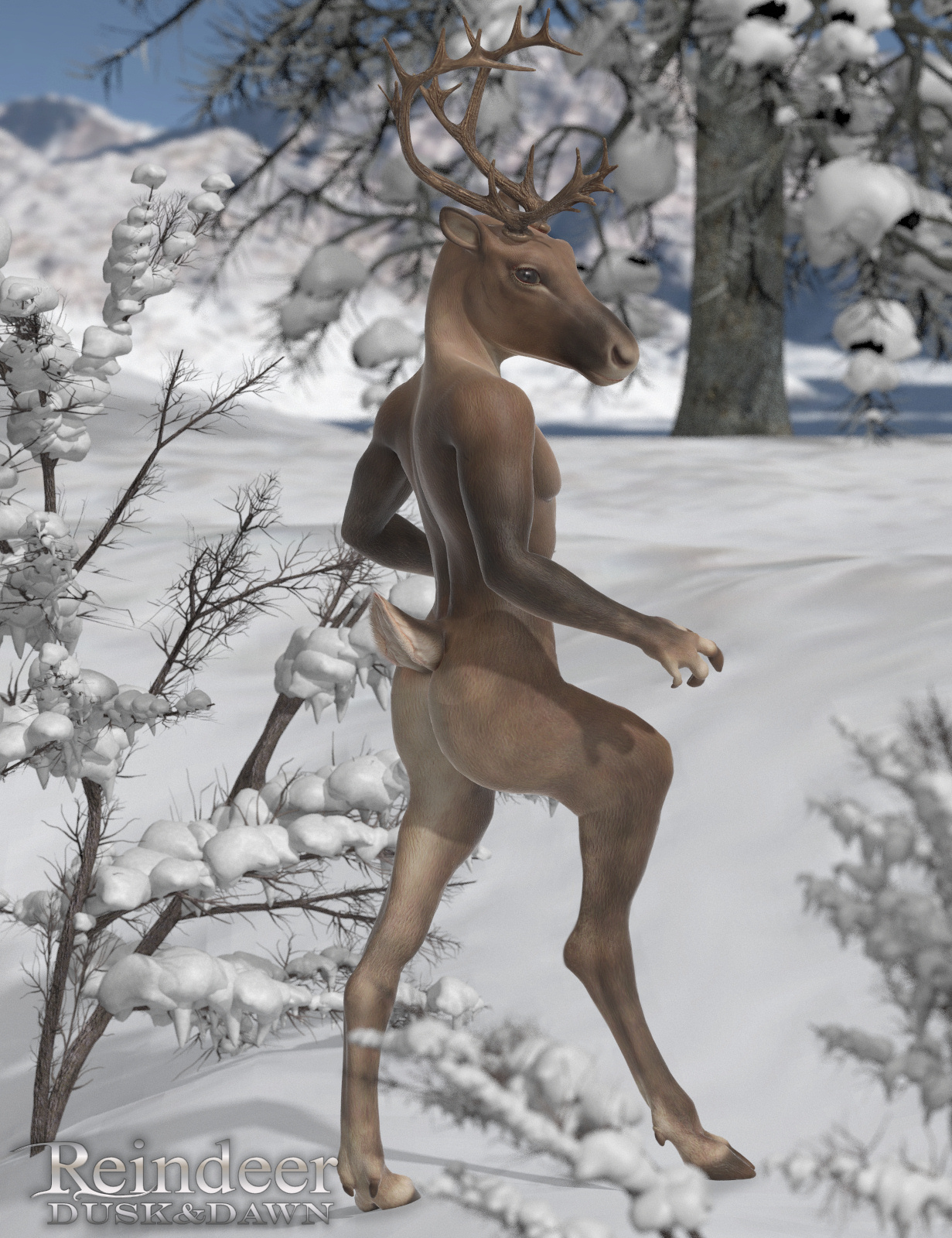 Reindeer 03