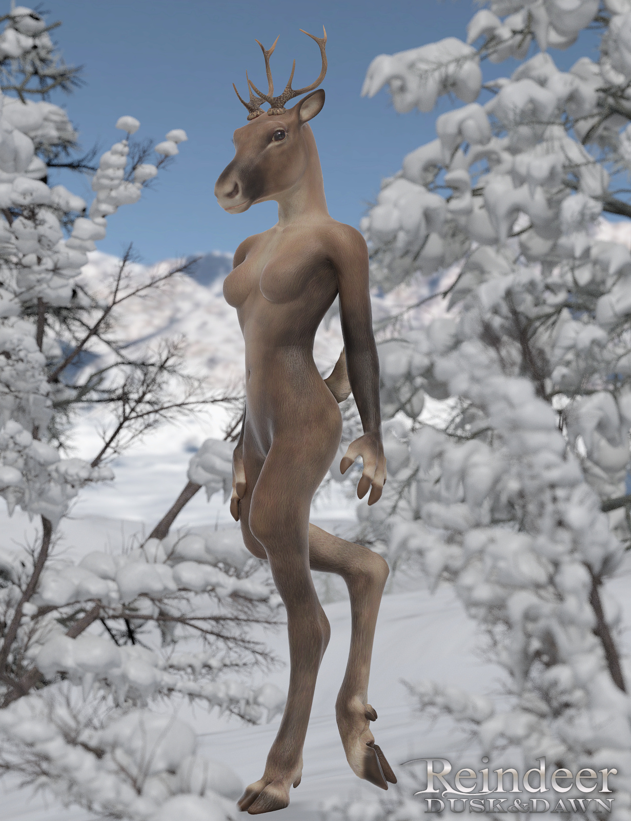 Reindeer 04